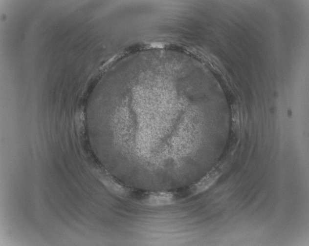 X0000080180369200612221322