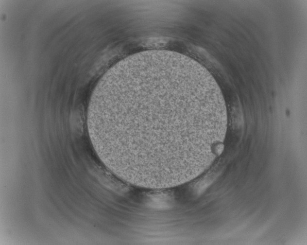 X0000080180370200612221322