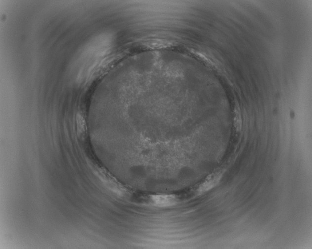 X0000080180371200612221322