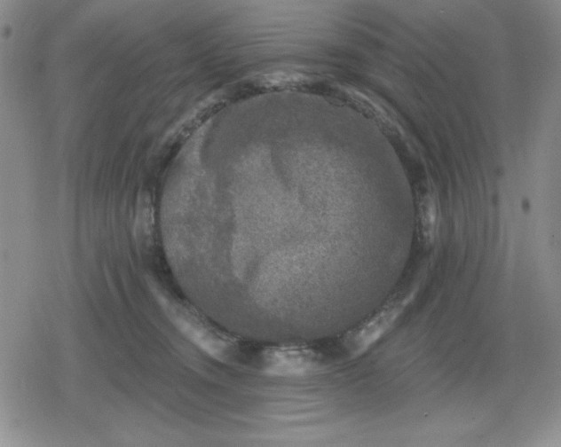 X0000080180372200612221322