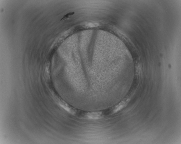 X0000080180373200612221322