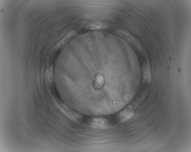 X0000080180376200612221322