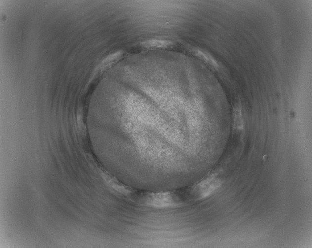 X0000080180377200612221322