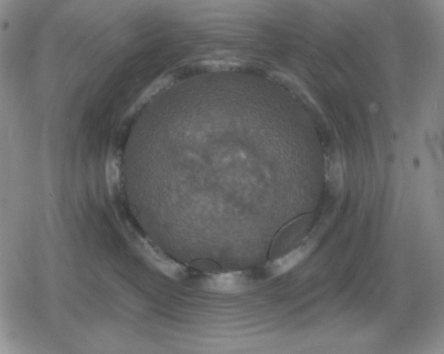 X0000080180382200612221322