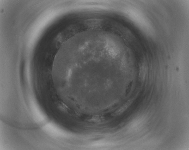 X0000080180383200612221322