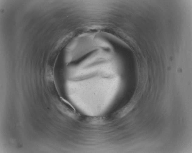 X0000080180384200612221322