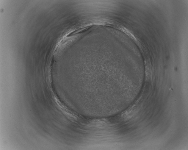 X0000080180386200612221321