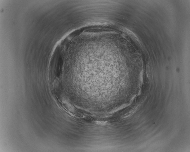 X0000080180388200612221321