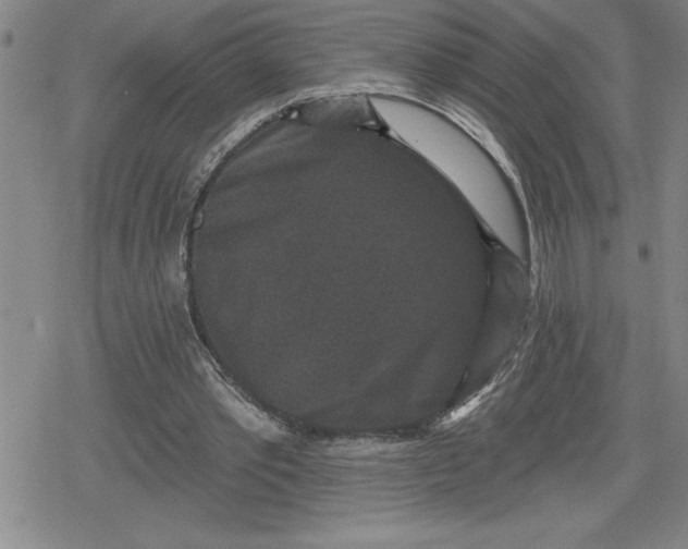 X0000080180389200612221321