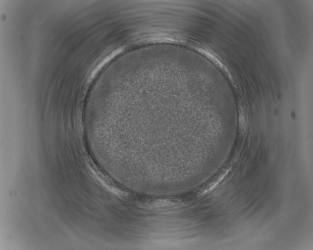 X0000080180390200612221321