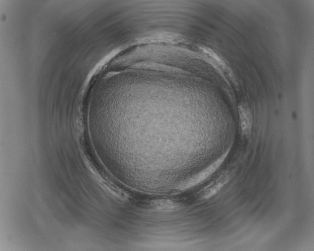 X0000080180392200612221321