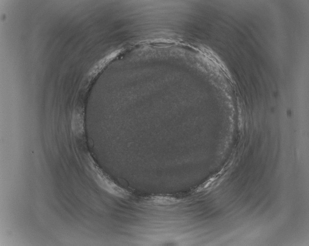 X0000080180393200612221321