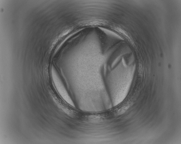 X0000080180394200612221321