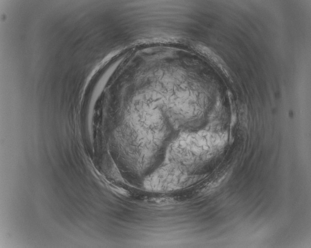 X0000080180395200612221321