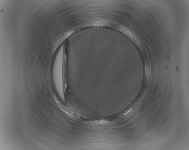 X0000080180397200612221321