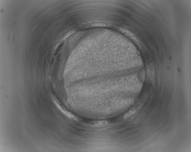 X0000080180398200612221321