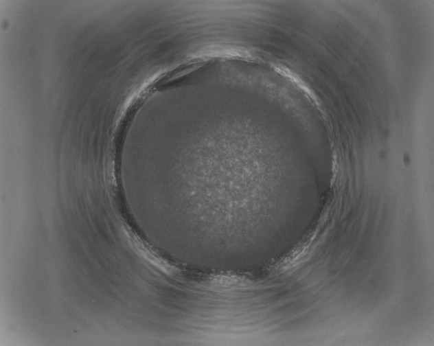 X0000080180399200612221321