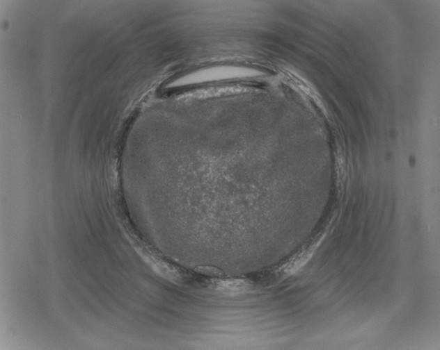 X0000080180401200612221321