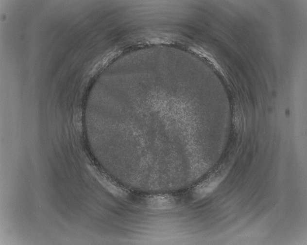 X0000080180402200612221321