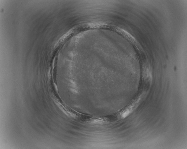 X0000080180405200612221321