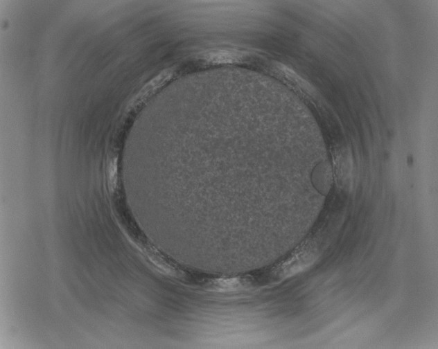 X0000080180406200612221321