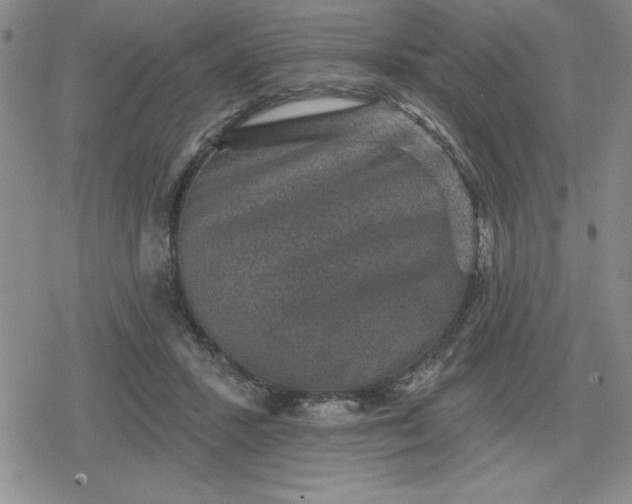 X0000080180407200612221321