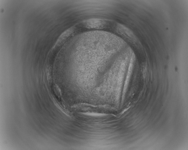 X0000080180408200612221321