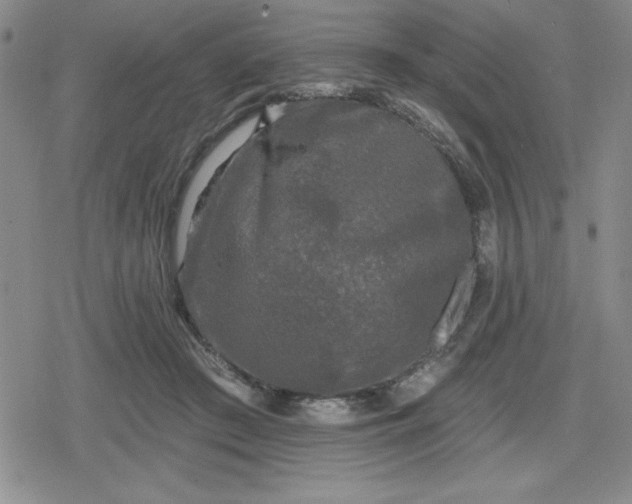 X0000080180409200612221321