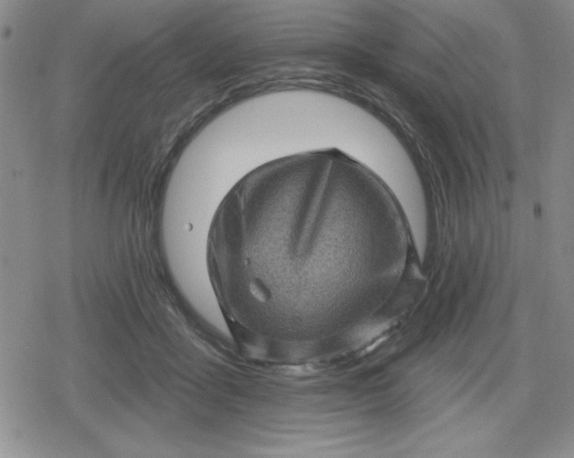 X0000080180411200612221321