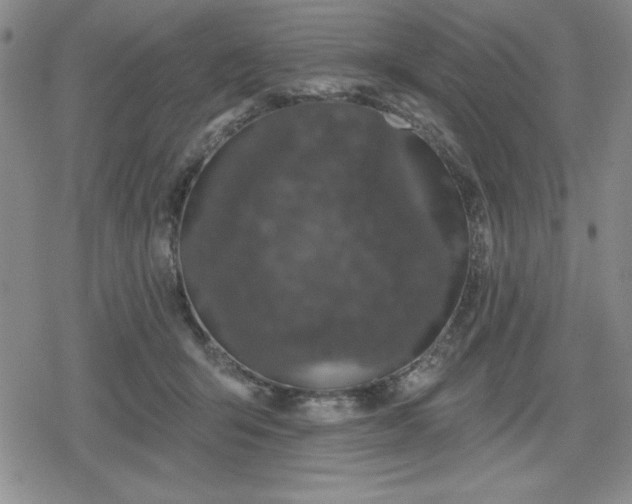 X0000080180415200612221321