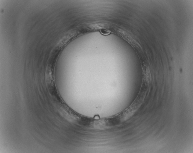 X0000080180418200612221320