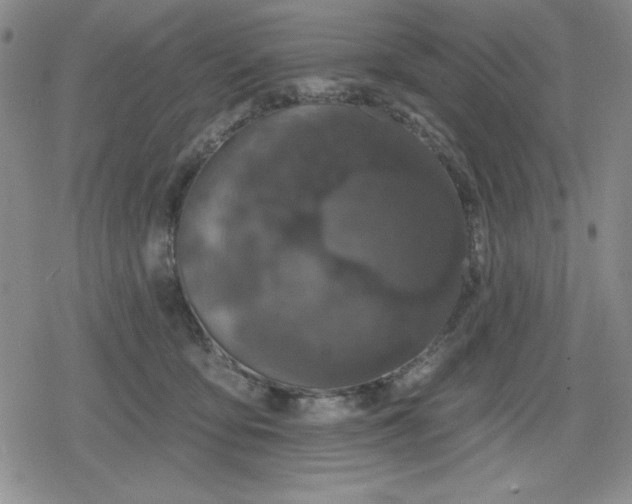 X0000080180419200612221320