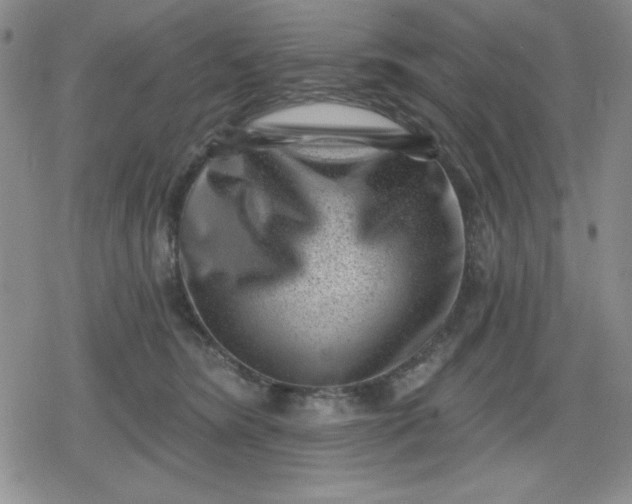 X0000080180420200612221320