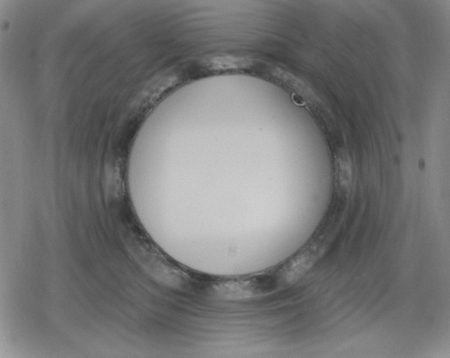 X0000080180422200612221320