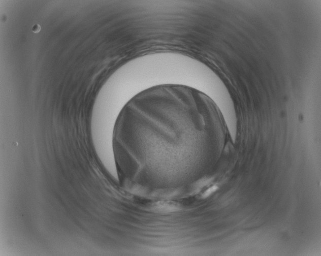 X0000080180423200612221320