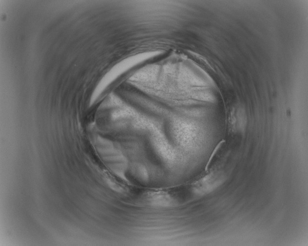 X0000080180424200612221320