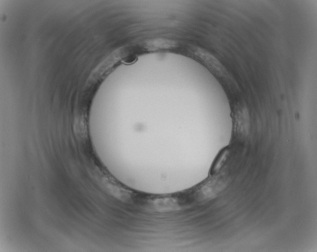 X0000080180426200612221320