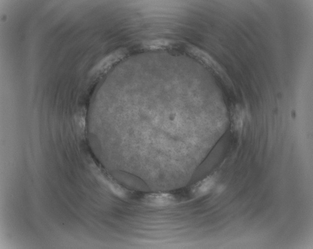 X0000080180427200612221320