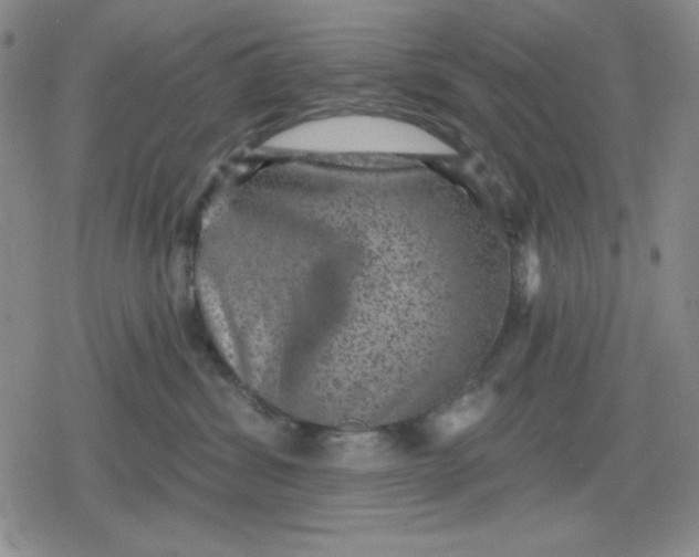 X0000080180428200612221320