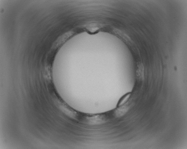 X0000080180430200612221320