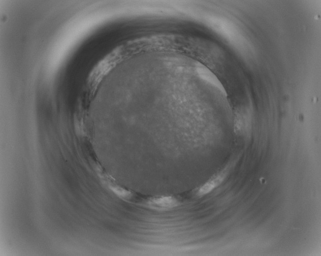 X0000080180431200612221320