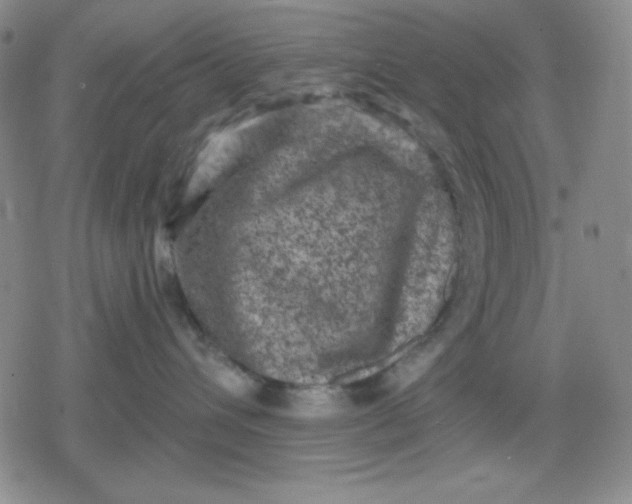 X0000080180432200612221320