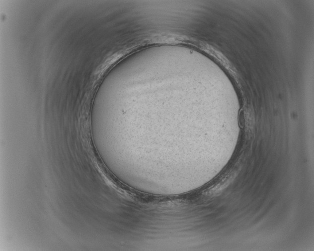 X0000080180433200612221319