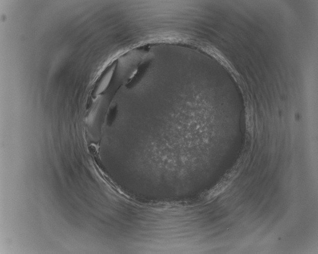 X0000080180434200612221319