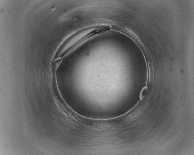 X0000080180435200612221320