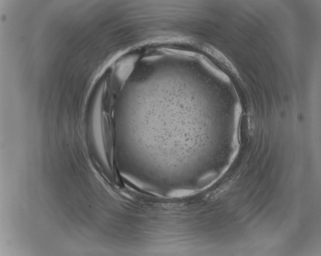 X0000080180436200612221320