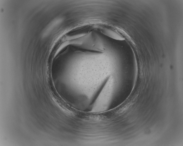 X0000080180439200612221320