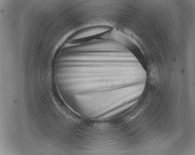 X0000080180440200612221320