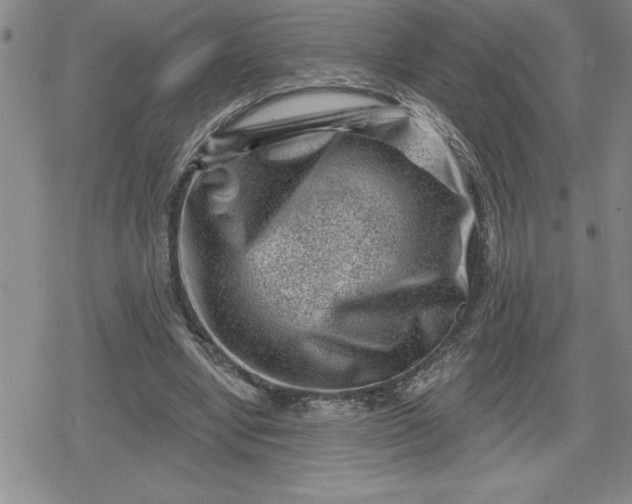 X0000080180442200612221320