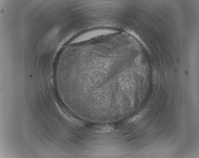 X0000080180443200612221320